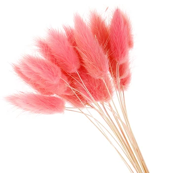 50pcs Doğal Çiçek Sahte Tavşan Kuyruk Çim Foxtail Uzun Demet Yapay Bitkiler Yapay Çiçek Dekor Peluş Renkli Kuru 