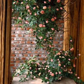 Yapay çiçekler gül Asılı Bitkiler Ivy Vine Yaprakları Yeşil Zincir Duvar Ev Odası Bahçe Düğün Garland Dış Dekorasyon