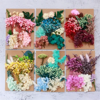 Doğal Renkli Kurutulmuş Çiçekler Gerçek Kuru Bitkiler Epoksi Reçine Fotoğrafları Kabartma Malzemeleri DIY Hediye Kutusu Yapımı Ev Dekor Aksesuarları
