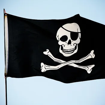 150x90cm Korsan Bayrağı DONT BANA Yılan Eşarp Kafatası Bayrağı Polyester Kılıç Kılıç Afiş Cadılar Bayramı Partisi Ev asılı dekorlar